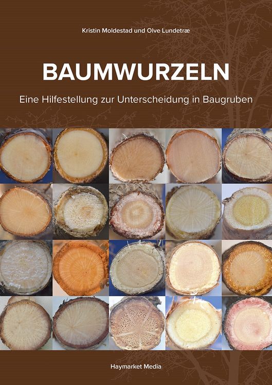 Produktbild: Baumwurzeln