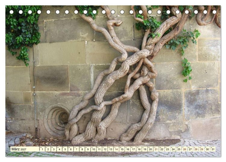 Produktbild: Zauberhaftes, die Natur als K&uuml;nstler (Tischkalender 2027 DIN A5 quer), CALVENDO Monatskalender