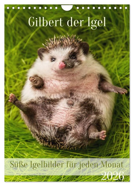 Produktbild: Gilbert der Igel (Wandkalender 2026 DIN A4 hoch), CALVENDO Monatskalender