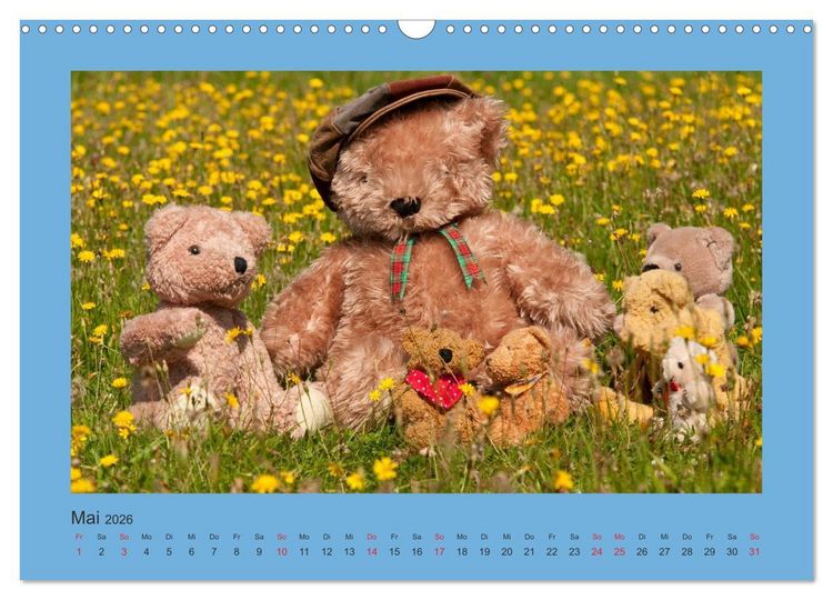 Produktbild: Teddys Meine Freunde (Wandkalender 2026 DIN A3 quer), CALVENDO Monatskalender