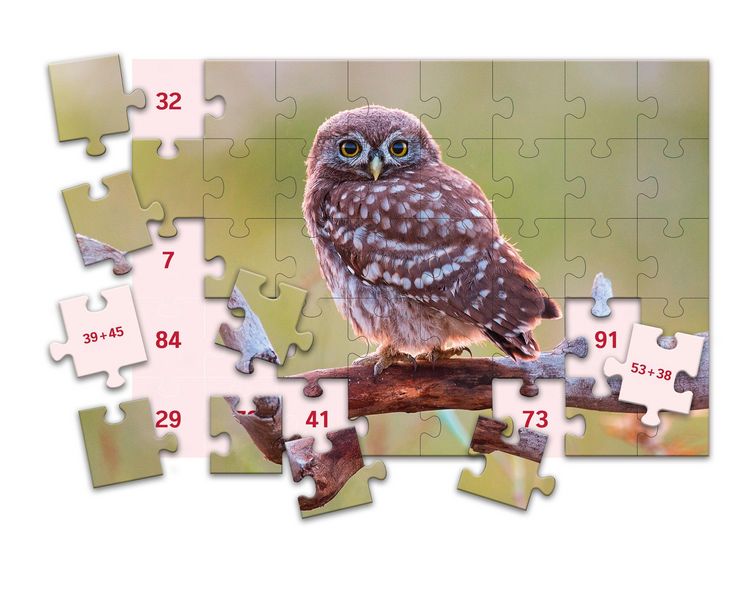 Produktbild: SCHUBI MathPuzzles