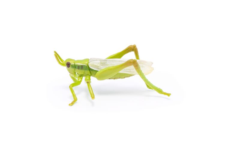 Produktbild: Spielfigur Heuschrecke 7cm