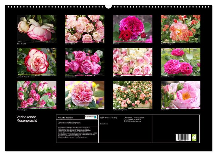 Produktbild: Verlockende Rosenpracht (Wandkalender 2026 DIN A2 quer), CALVENDO Monatskalender