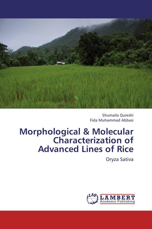 Produktbild: Morphological & Molecular Characterization of Advanced Lines of Rice