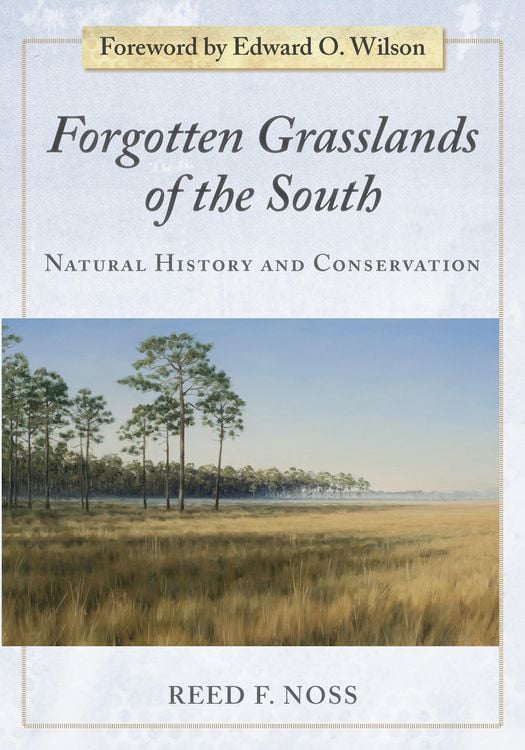 Produktbild: Forgotten Grasslands of the South