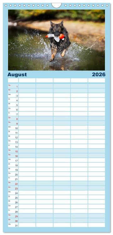 Produktbild: Familienplaner 2026 - H&uuml;tehunde - H&uuml;ter der Herzen mit 5 Spalten (Wandkalender, 21 x 45 cm) CALVENDO