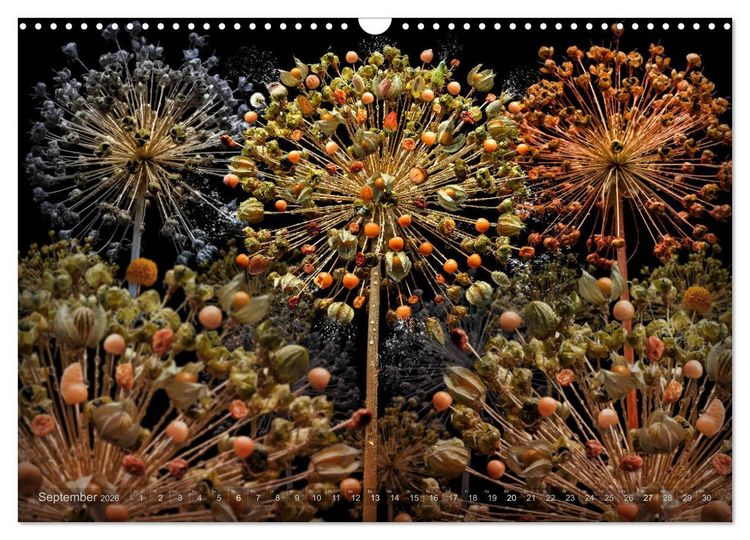 Produktbild: Flora miracula - Die wundersame Welt des Fotografen Olaf Bruhn (Wandkalender 2026 DIN A3 quer), CALVENDO Monatskalender