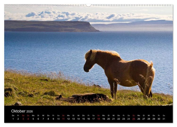 Produktbild: Islandpferde (Wandkalender 2026 DIN A2 quer), CALVENDO Monatskalender