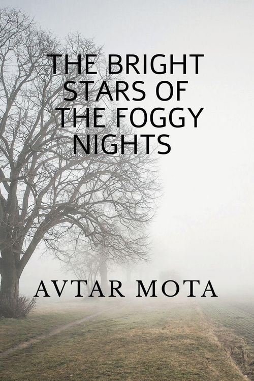 Produktbild: The Bright Stars of the Foggy Nights