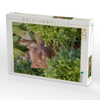 Produktbild: CALVENDO Puzzle Ein Bild aus dem Kalender Britisch Kurz | 1000 Teile Lege-Gr&ouml;&szlig;e 64x48cm Foto-Puzzle f&uuml;r gl&uuml;ckliche Stunden