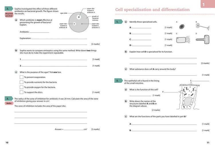 Produktbild: GCSE Science 9-1 - Aqa GCSE (9-1) Biology Grade 6-7 Booster Workbook