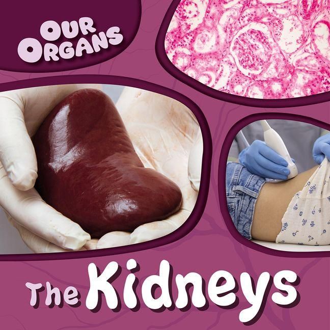 Produktbild: The Kidneys