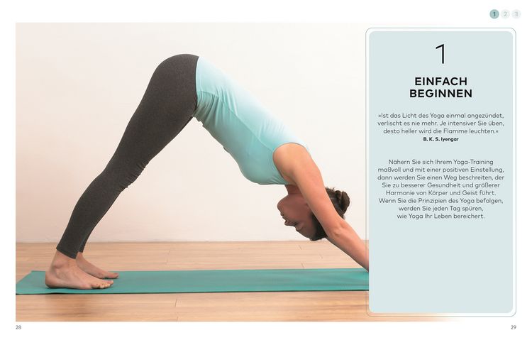 Produktbild: Die kleine Yoga-Schule