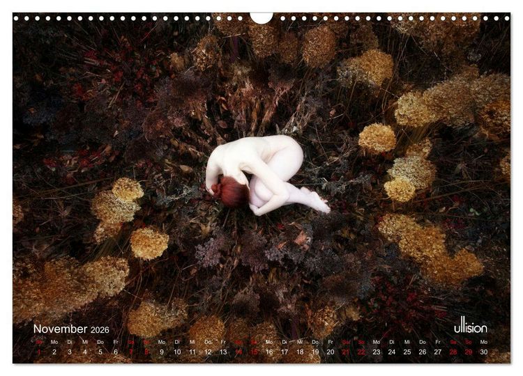 Produktbild: Poesie der Stille &ndash; Akt in der Natur (Wandkalender 2026 DIN A3 quer), CALVENDO Monatskalender