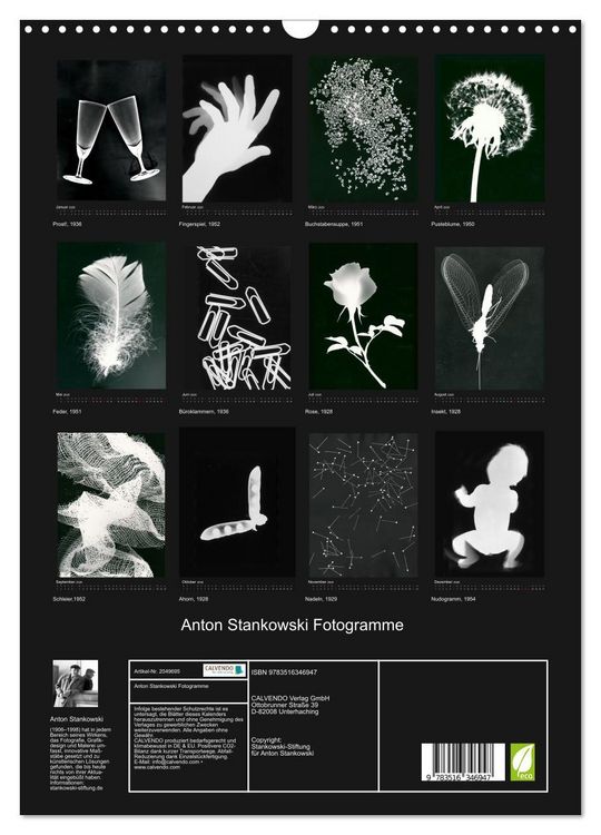 Produktbild: Anton Stankowski Fotogramme (Wandkalender 2026 DIN A3 hoch), CALVENDO Monatskalender