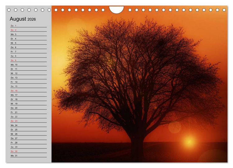 Produktbild: Magische B&auml;ume (Wandkalender 2026 DIN A4 quer), CALVENDO Monatskalender