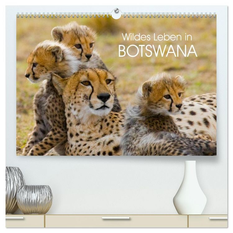 Produktbild: Wildes Leben in Botswana (hochwertiger Premium Wandkalender 2026 DIN A2 quer), Kunstdruck in Hochglanz