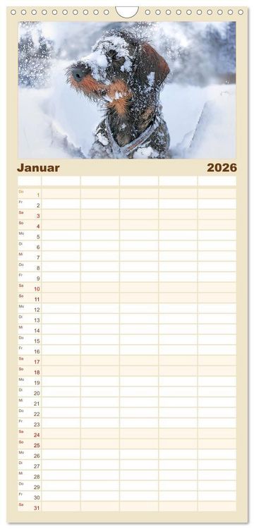 Produktbild: Familienplaner 2026 - Der Dackel mit 5 Spalten (Wandkalender, 21 x 45 cm) CALVENDO