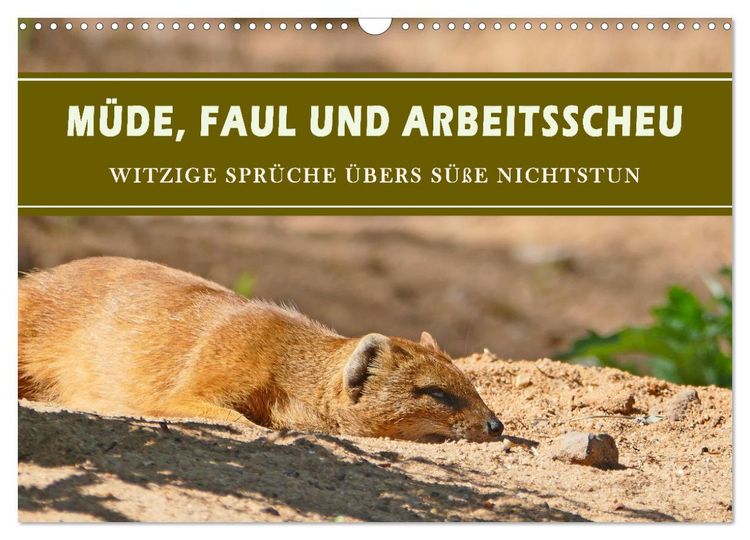 Produktbild: M&uuml;de, faul und arbeitsscheu (Wandkalender 2026 DIN A3 quer), CALVENDO Monatskalender