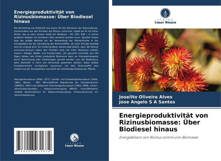 Produktbild: Energieproduktivit&auml;t von Rizinusbiomasse: &Uuml;ber Biodiesel hinaus