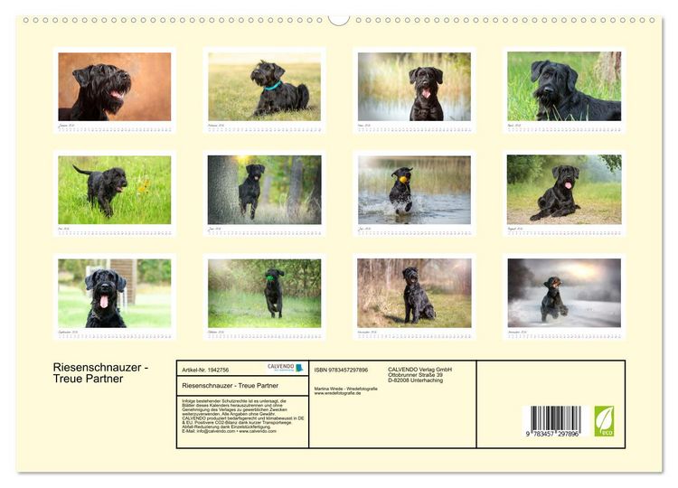 Produktbild: Riesenschnauzer - Treue Partner (hochwertiger Premium Wandkalender 2026 DIN A2 quer), Kunstdruck in Hochglanz