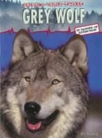 Produktbild: Grey Wolf