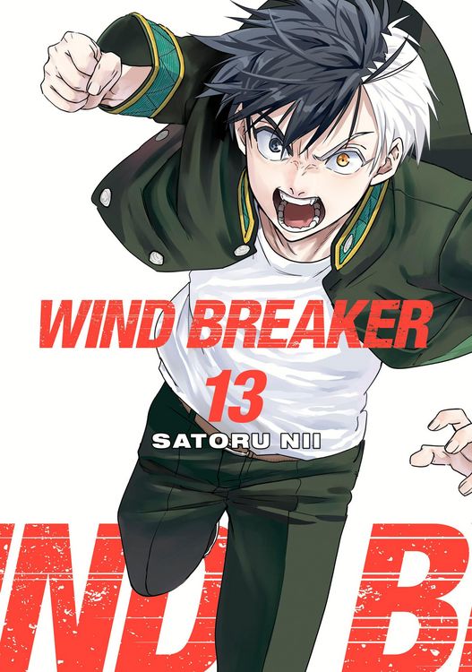 Produktbild: Wind Breaker 13