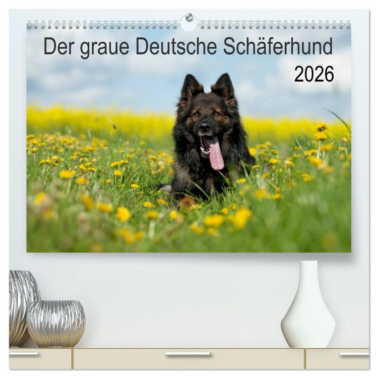Produktbild: Der graue Deutsche Sch&auml;ferhund (hochwertiger Premium Wandkalender 2026 DIN A2 quer), Kunstdruck in Hochglanz