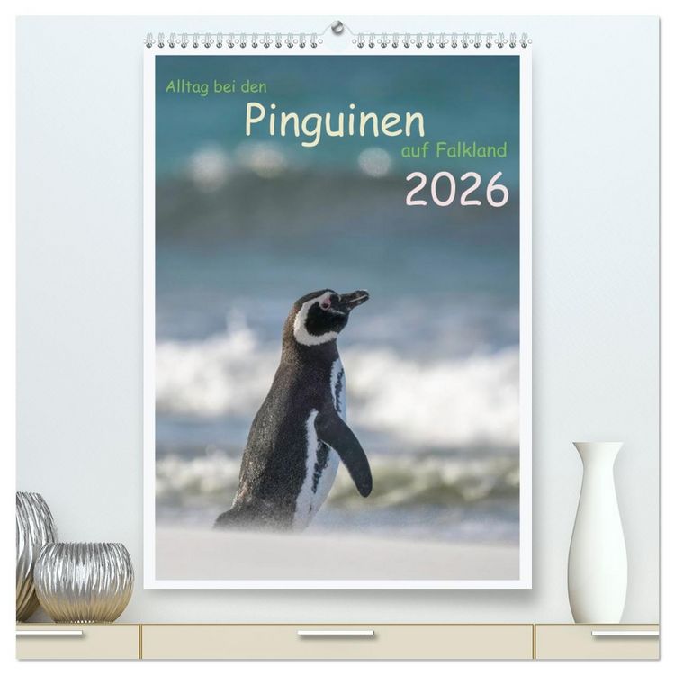 Produktbild: Alltag bei den Pinguinen auf Falkland (hochwertiger Premium Wandkalender 2026 DIN A2 hoch), Kunstdruck in Hochglanz