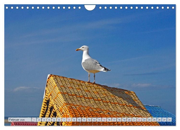 Produktbild: Langeoog - Natur Pur (Wandkalender 2026 DIN A4 quer), CALVENDO Monatskalender
