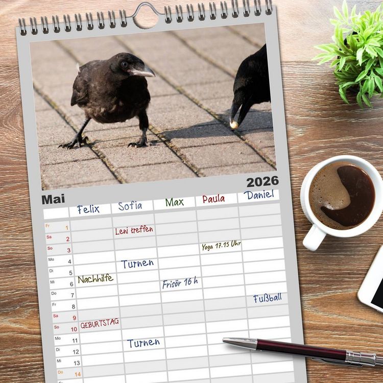 Produktbild: Familienplaner 2026 - Rabenschwarze Impressionen - meike-ajo-dettlaff.de via wildvogelhlfe.org mit 5 Spalten (Wandkalender, 21 x 45 cm) CALVENDO