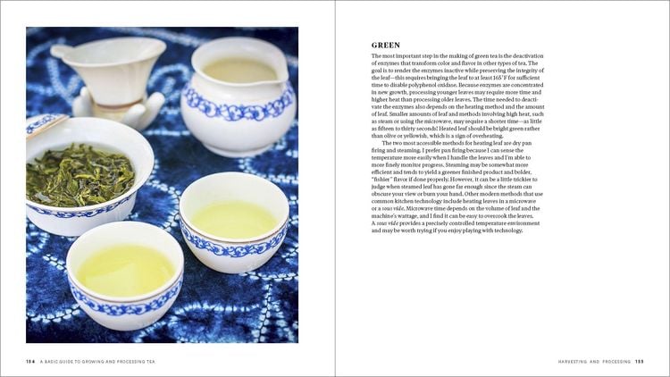 Produktbild: Grow Your Own Tea