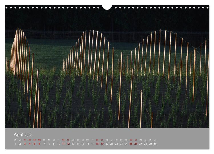 Produktbild: Hallertau (Wandkalender 2026 DIN A3 quer), CALVENDO Monatskalender