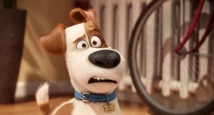 Produktbild: Pets Doppelpack: Pets 1 & Pets 2 [2 DVDs]