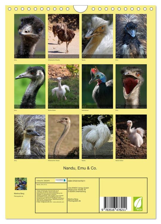 Produktbild: Nandu, Emu & Co. (Wandkalender 2026 DIN A4 hoch), CALVENDO Monatskalender