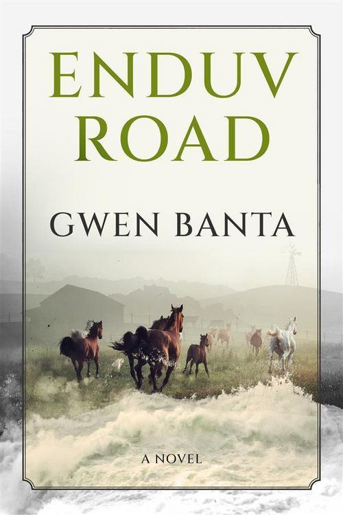 Produktbild: Enduv Road