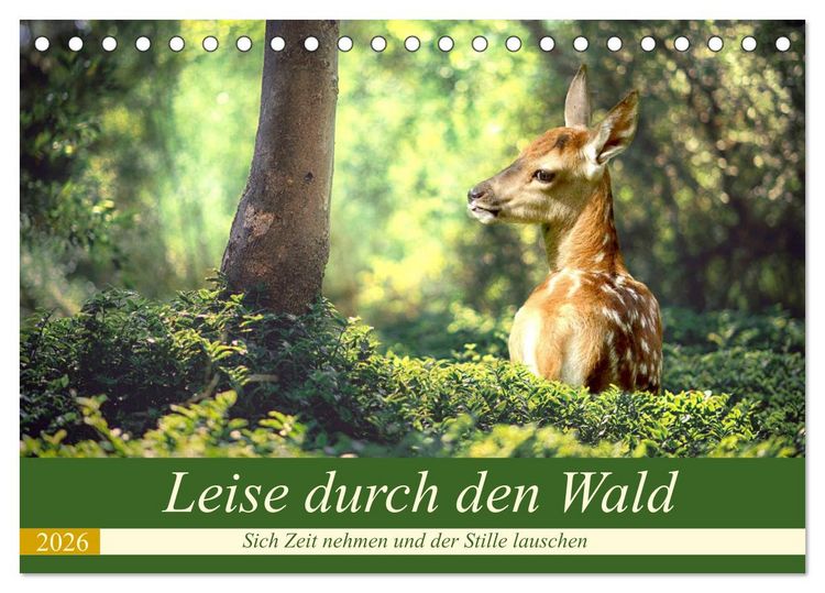 Produktbild: Leise durch den Wald. Sich Zeit nehmen und der Stille lauschen (Tischkalender 2026 DIN A5 quer), CALVENDO Monatskalender