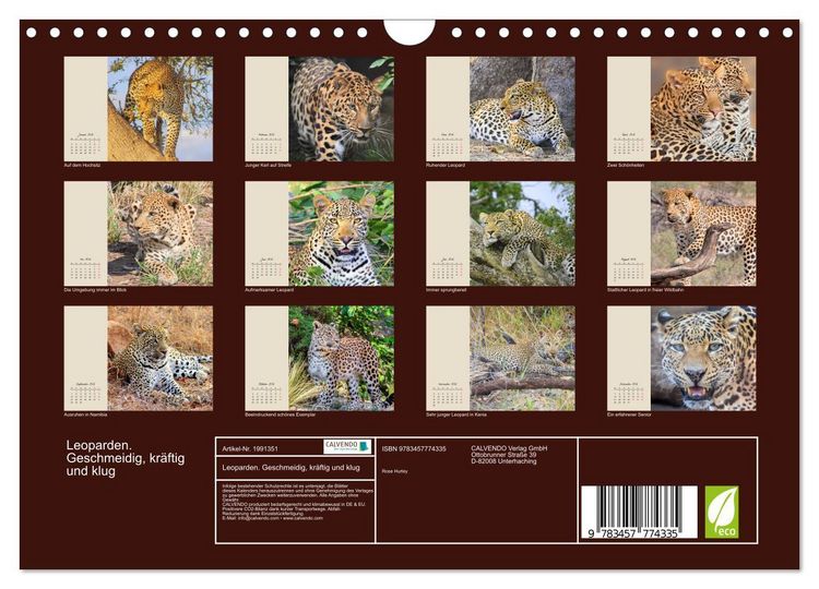 Produktbild: Leoparden. Geschmeidig, kr&auml;ftig und klug (Wandkalender 2026 DIN A4 quer), CALVENDO Monatskalender