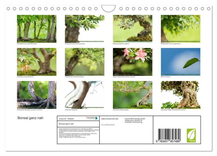 Produktbild: Bonsai ganz nah (Wandkalender 2026 DIN A4 quer), CALVENDO Monatskalender