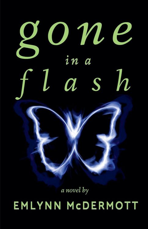 Produktbild: Gone in a Flash