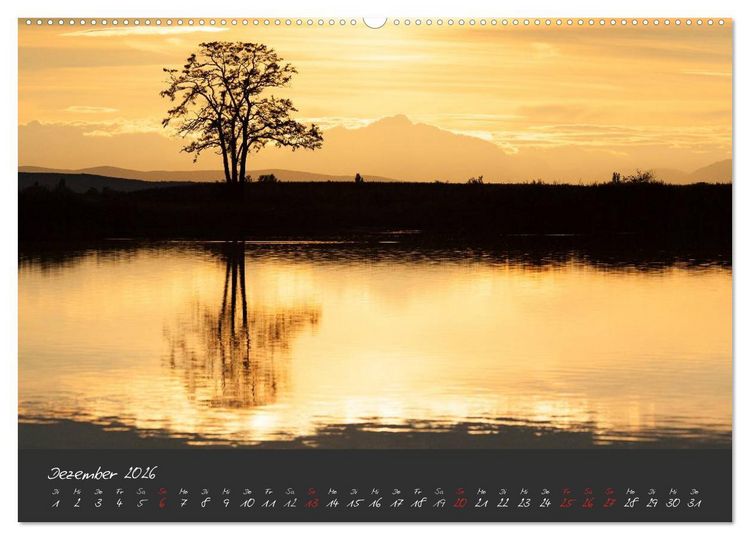 Produktbild: Natur erleben Seewinkel-Neusiedlersee (hochwertiger Premium Wandkalender 2026 DIN A2 quer), Kunstdruck in Hochglanz