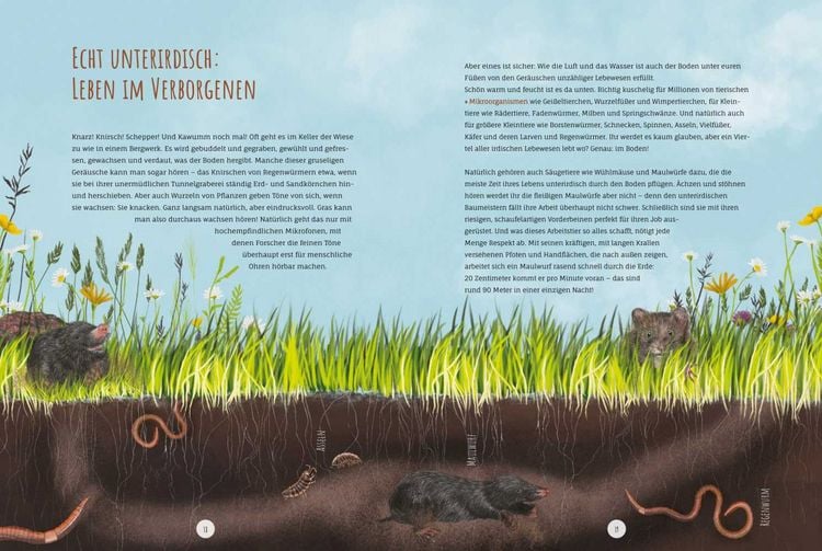 Produktbild: Die Wildwiese