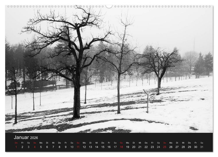 Produktbild: B&auml;ume trees 2026 (Wandkalender 2026 DIN A2 quer), CALVENDO Monatskalender