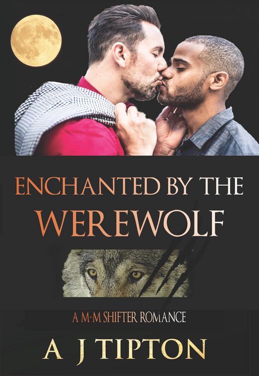 Produktbild: Enchanted by the Werewolf (Werewolves of Singer Valley, #2)