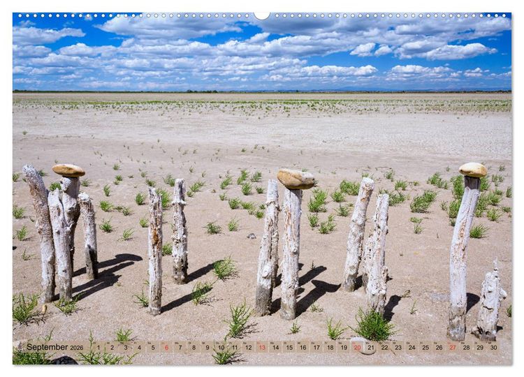 Produktbild: Camargue - Der wilde S&uuml;den Frankreichs (hochwertiger Premium Wandkalender 2026 DIN A2 quer), Kunstdruck in Hochglanz