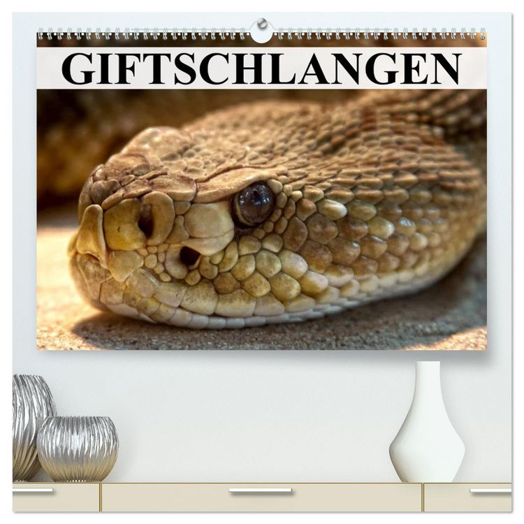 Produktbild: Giftschlangen (hochwertiger Premium Wandkalender 2026 DIN A2 quer), Kunstdruck in Hochglanz