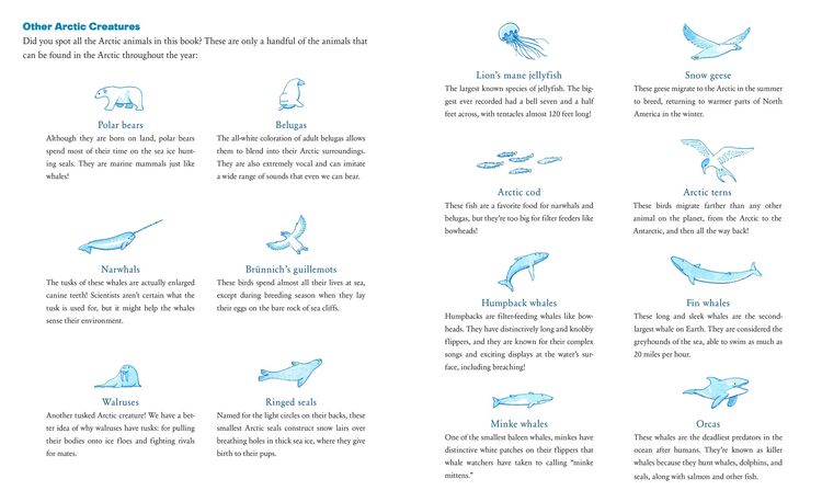 Produktbild: The Whale Who Swam Through Time