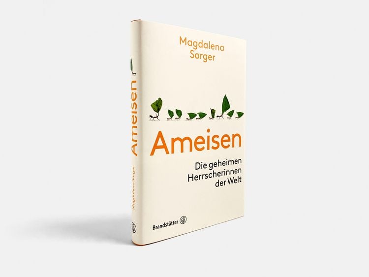 Produktbild: Ameisen