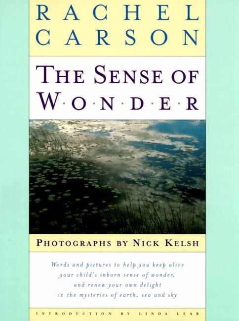Produktbild: The Sense of Wonder