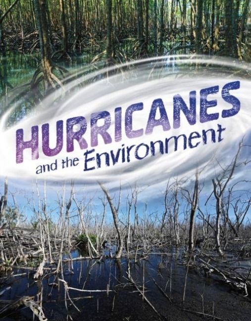 Produktbild: Hurricanes and the Environment